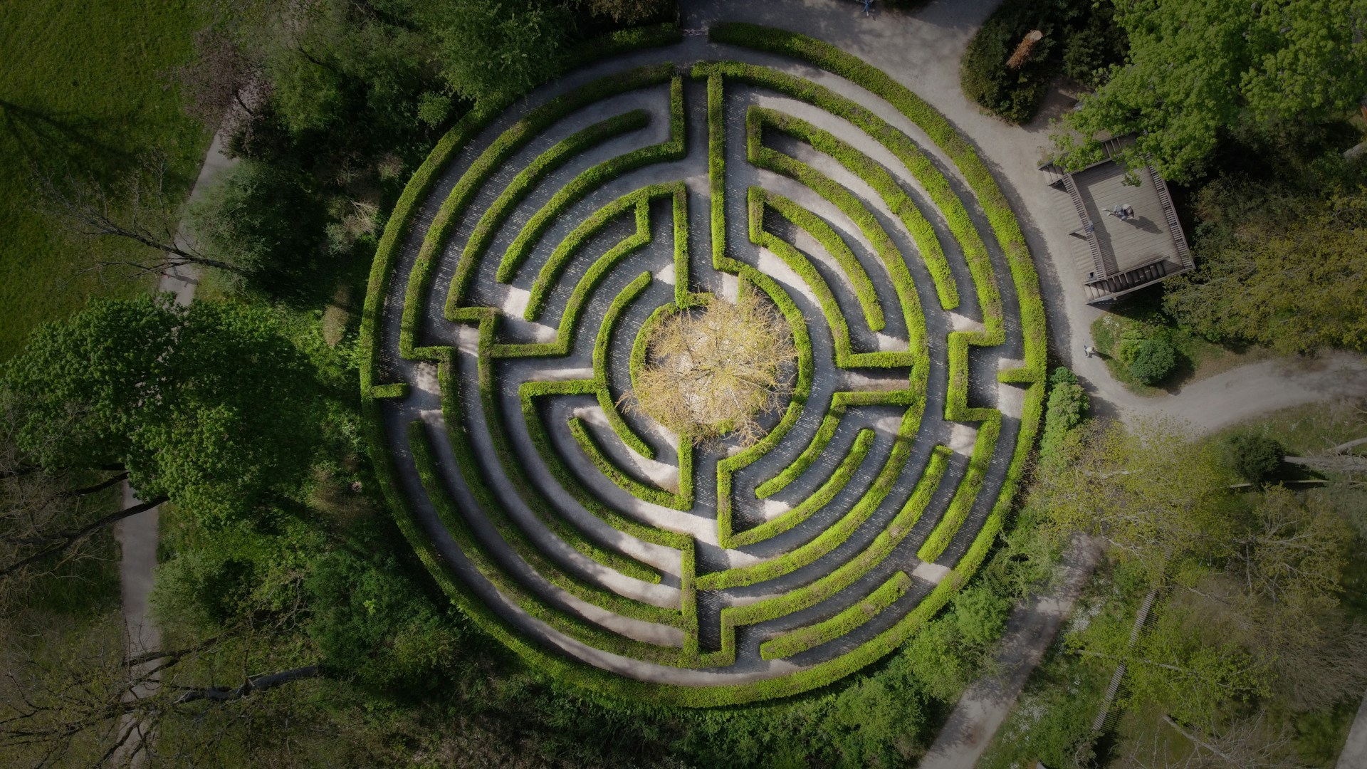Vue aérienne d'un labyrinthe végétal circulaire